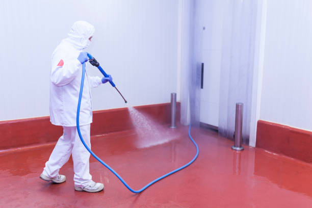 Best Boat and Dock Cleaning  in Folkston, GA